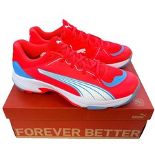 Puma 24.1 Spike Cricket Shoes