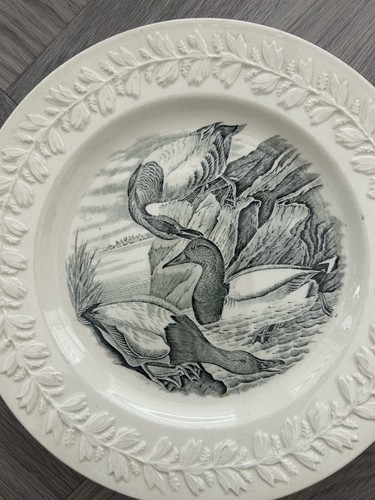 Plate john james audubon the - plate,