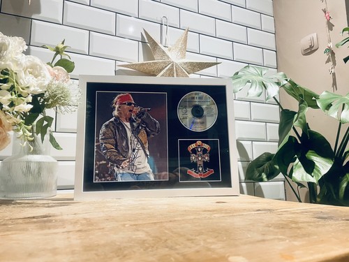 Axl rose appetite for - axl,