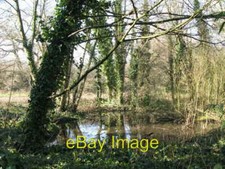 Photo 6x4 (Another) small pond