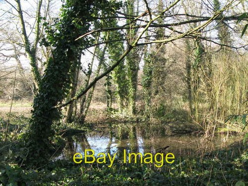 Photo 6x4 small - photo, (another)