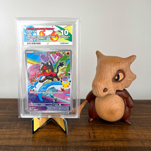 Pokémon ace litten - pokémon, 044