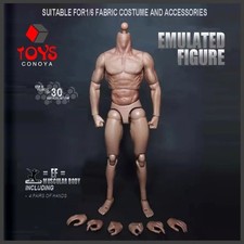 Hot ZC Toys 1/6 Scale Muscular