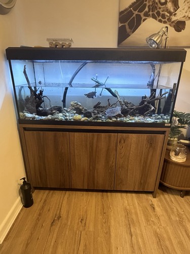 Fluval 4ft aquarium fish tank - fish,