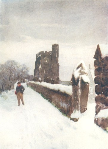 Essex winter mantle - essex., winter's