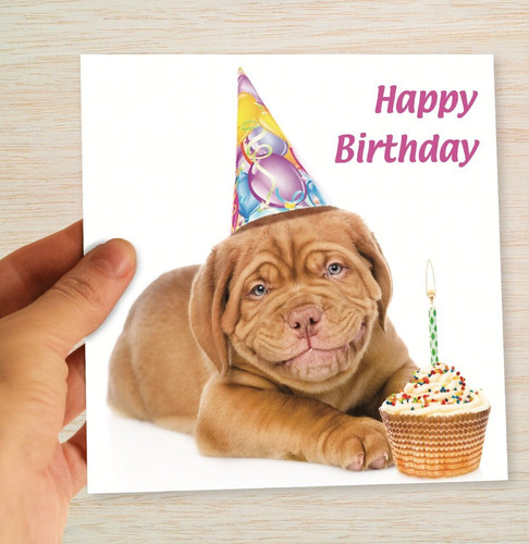 Funny dog birthday card dogue - dog,