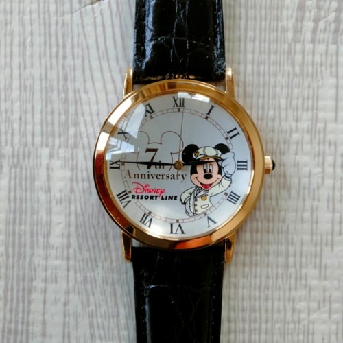 Disney resort line - resort,