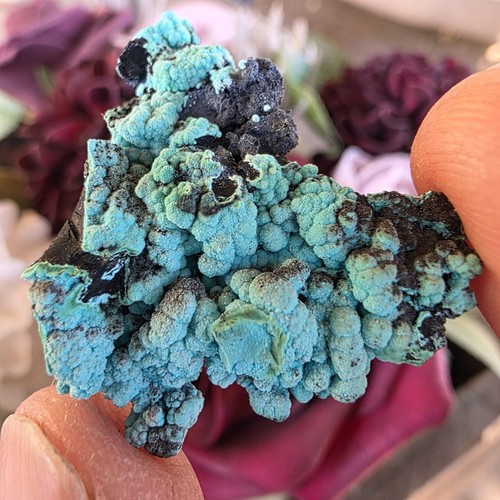 Chrysocolla rock specimen - chrysocolla,