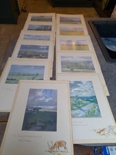 Lionel Edwards Lithograph Prints From Sketchbook