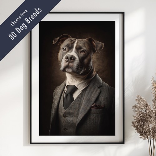 Smartly dressed dog - smartly,