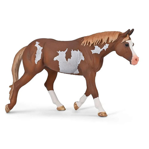 American paint horse chestnut - paint,