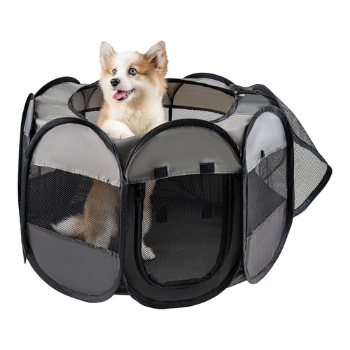 Lafyette usa based - based,, cat