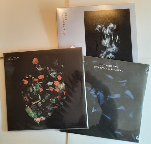 Guy andrews 12 vinyl - guy,