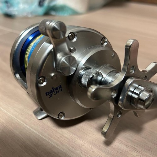 Daiwa saltiga japanese - saltiga,