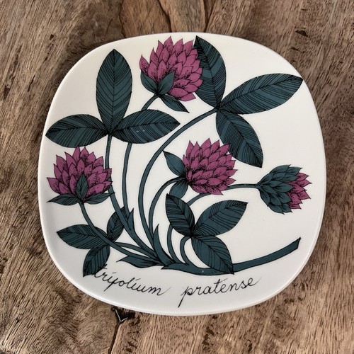 Rare arabia finland esteri - arabia,