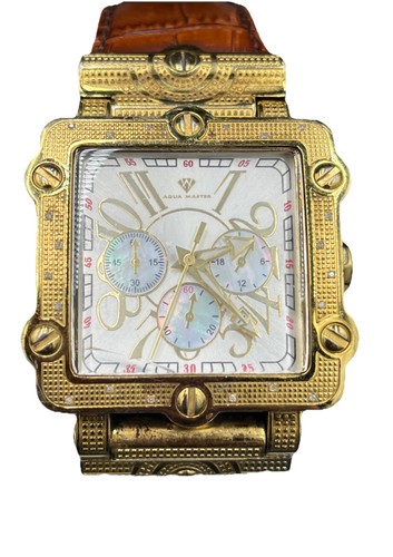 Aqua master watch - master,