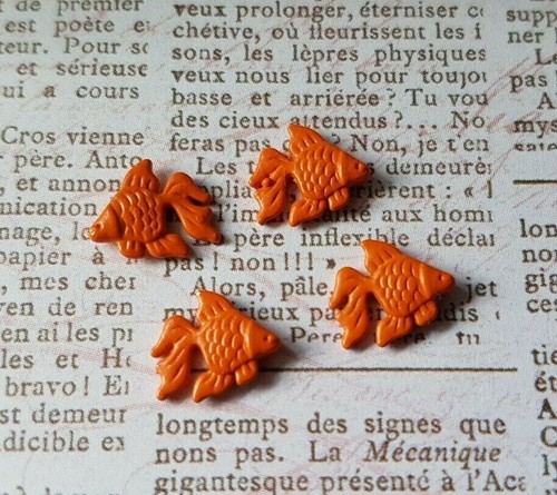 Fantail goldfish 1 - x,