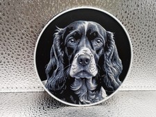American Cocker Spaniel