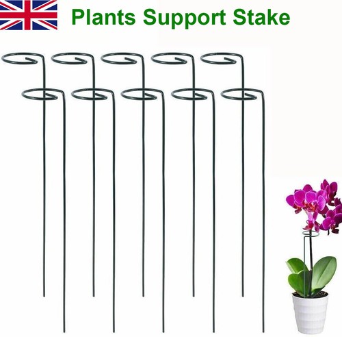 Spiral plant support stakes - plant,