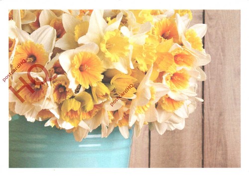 Picture postcard marie curie - marie,