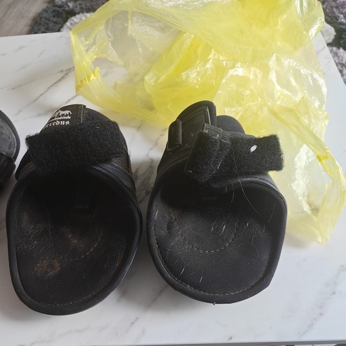 Veredus black fetlock and - fetlock,