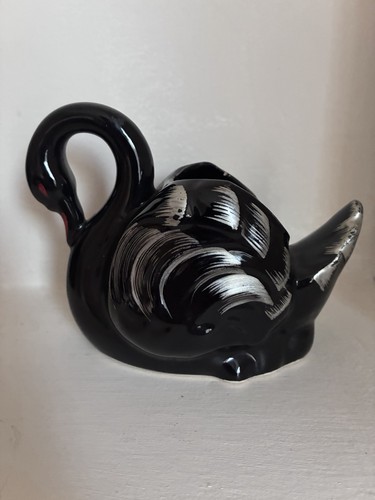 Black swan mid - mid, century