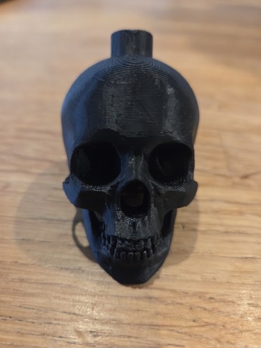 Printed skull and screaming - and,