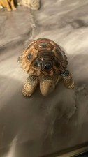 Wade Porcelain Turtle Figurine