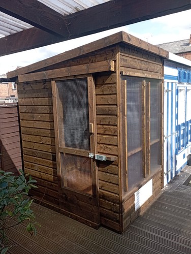 Stock pigeon loft custom - pigeon,
