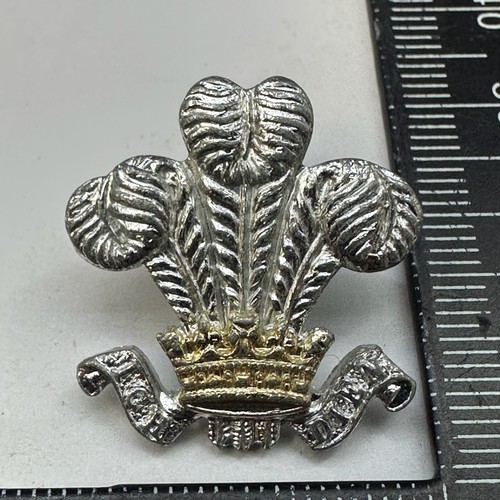 Royal wiltshire yeomanry - royal,
