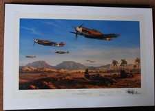 Desert Victory by Nicolas Trudgian mint Luftwaffe  and RAF multi signed