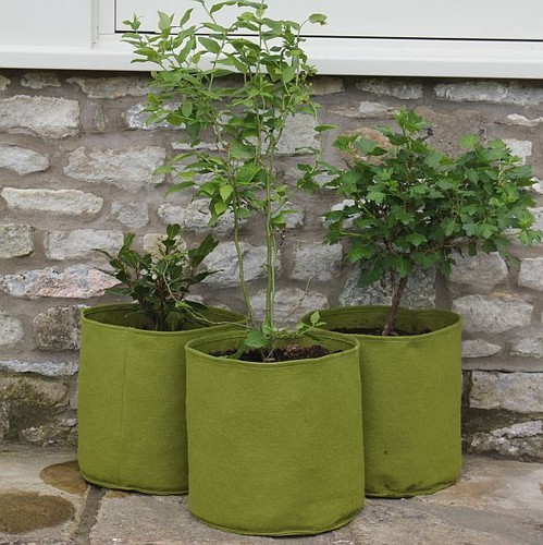 Patio planters vigoroot - patio,