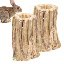 2pcs Natural Papaya Rabbit