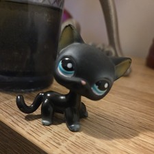 Littlest Petshop #994. Black