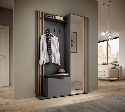 Entrance shoe cabinet coat