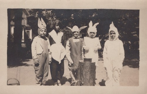 Children bunny rabbit - children,