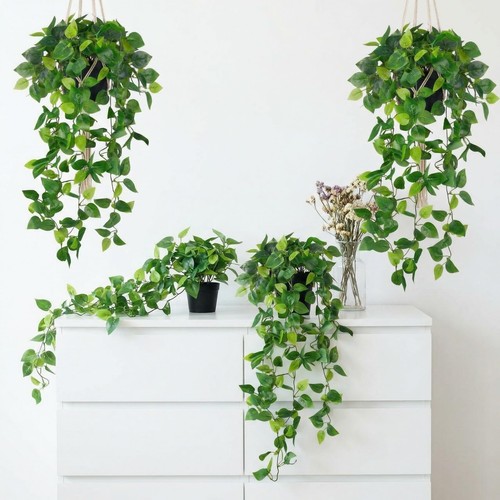 Pcs inch fake pothos - pcs,