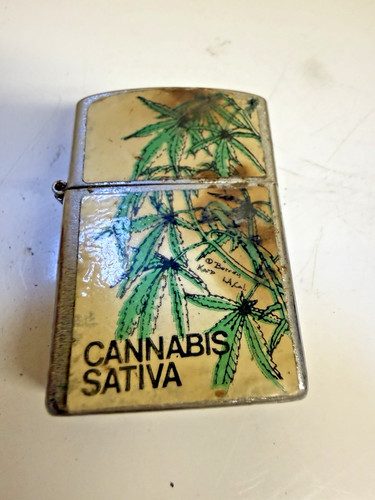 Cannabis sativa penguin - sativa,