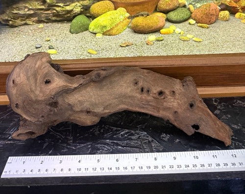 Natural aquarium driftwood - natural,