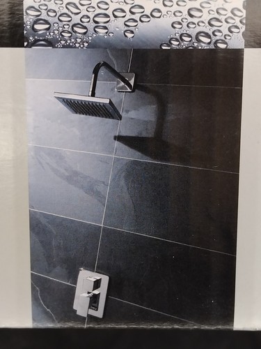 Concealed recessed shower - concealed,