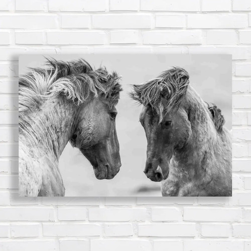 Weathered horses black white - horses,
