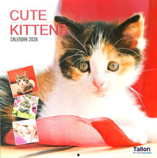 2026 Kittens Square Wall