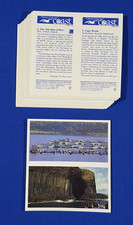 Brooke Bond PG Tips UNCUT