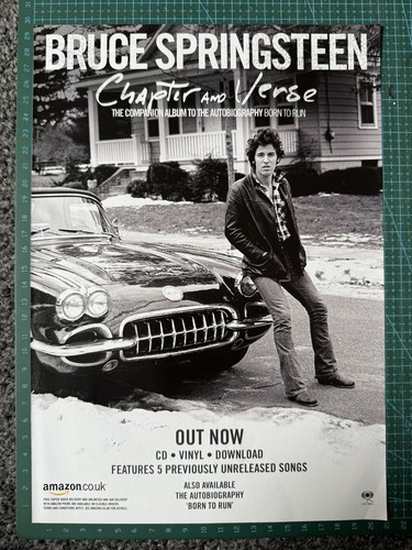 Bruce springsteen chapter - springsteen, &