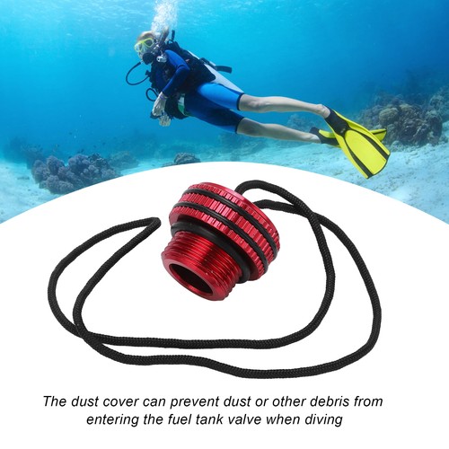 Scuba diving tank valve dust - diving,
