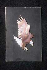 Real Abalone & Mother of Pearl