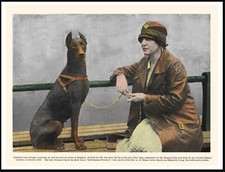 DOBERMAN PINSCHER LADY AND HER