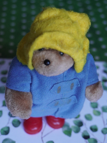 Paddington bear eden - paddington,