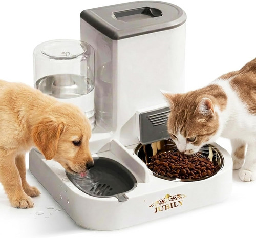Automatic cat feeder - cat, water
