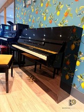 Steinmayer S108 Modern Upright